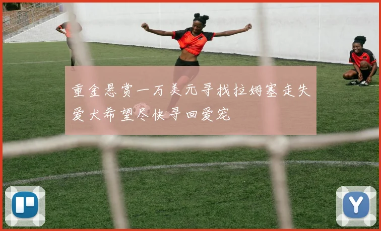 重金悬赏一万美元寻找拉姆塞走失爱犬希望尽快寻回爱宠