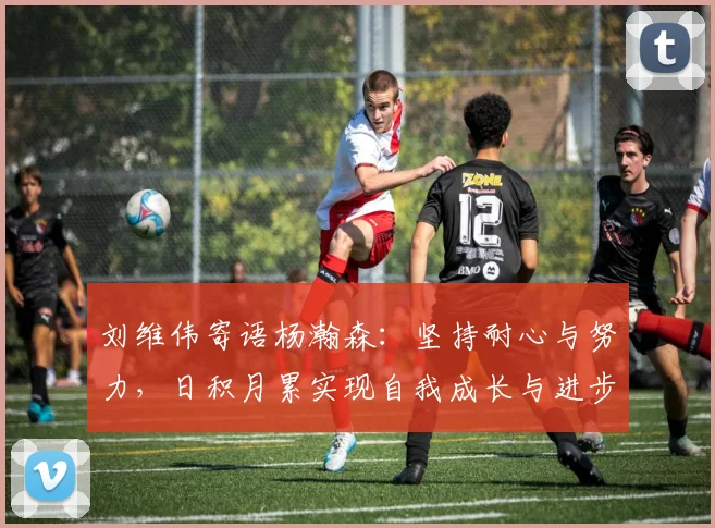 刘维伟寄语杨瀚森：坚持耐心与努力，日积月累实现自我成长与进步