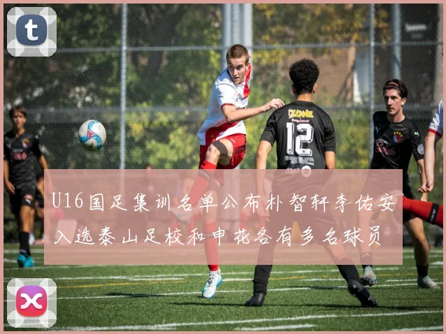 U16国足集训名单公布朴智轩李佑安入选泰山足校和申花各有多名球员参与