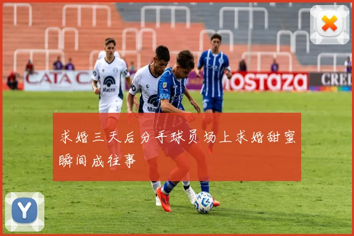 求婚三天后分手球员场上求婚甜蜜瞬间成往事